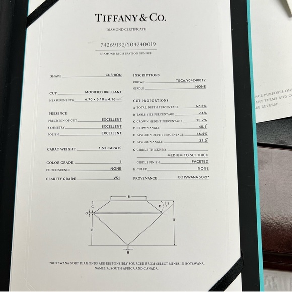 Tiffany & Co. Soleste Cushion-Cut  Double Halo Ring w/ a Diamond Platinum Band - Picture 13 of 14